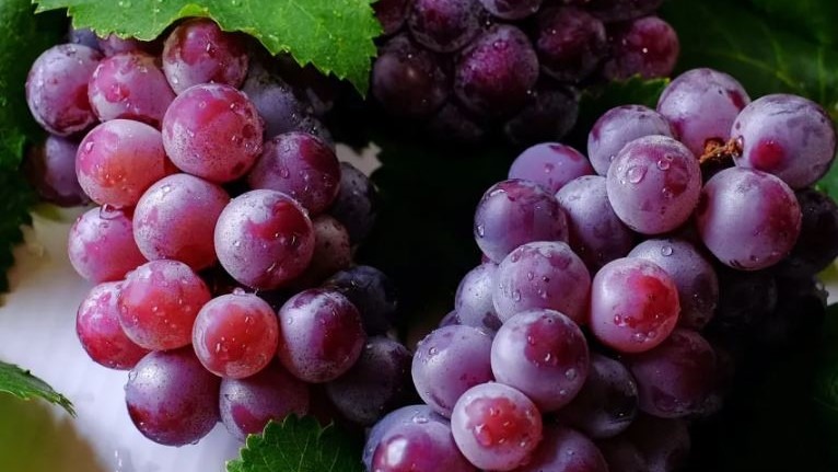 Bea vino noir b (2)